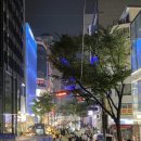 [명동 위스키바] 국뽕 분위기 맛도 최고 단골각 명동 와인바 | 명동숙희 Sookhee