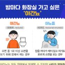 소아 성인 야뇨증 원인 및 (자다가 소변) 이미지