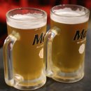 카니발 스퀘어 이미지