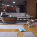 영수농장 이미지