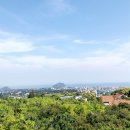 해동헬스케어 이미지