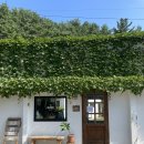 하조대민박 | [양양] 하조대 숙소추천, 하조델리민박