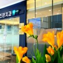 와이즈덴치과의원 네이버블로그