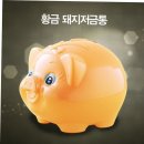 저금통