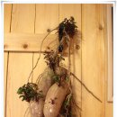 쏘갈매운탕 이미지