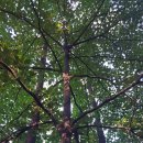 평화를품은책방 이미지