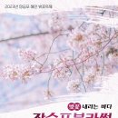 장승포해안로 이미지