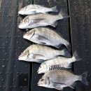 물돌이민박 이미지