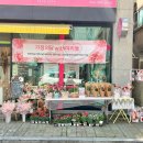 여리들 이미지