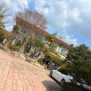 풀꽃세상채식뷔페 | 전주 중인리 맛집 내돈내산 - 건강한 채식뷔페 풀꽃세상 예약, 가격 찐후기 #1