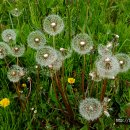 최치원 유적지 이미지