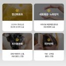 모성마트 | [탈모샴푸 추천제품]“페르니 메디테이션 샴푸 500ml” 여성 탈모 샴푸, 향기좋은 샴푸 구매 솔직 후기!