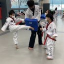 용인대 지성 태권도장 네이버블로그