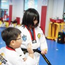 펀 태권도장 이미지