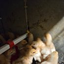 귀래농장 이미지