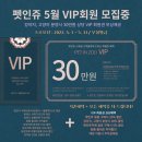 아크로 켄넬 | 의정부 강아지 분양/털빠짐이 거의 없는 말티푸 왕자님♥