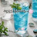 그바다에 가면 Daum카페