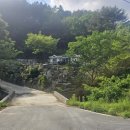 소나무쉼터 민박 이미지