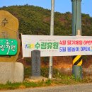 수림휴원 이미지