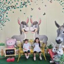 아이와 레고랜드 여행 코스 추천: 홍천동키마을 동물 체험 후기