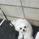 독핏 - 강남구 강남대로140길 26 | 독핏