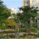 갤럭시부동산중개 이미지