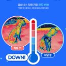 강아지 쿨하네스 추천! 펫줄앤코 냉감 하네스 카키 버클타입 착용 방법과 여름 대비 산책 후기
