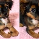 미소지은농장 이미지