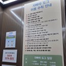 달달봄봄 애견미용 | 파주 애견카페 무료애견수영장 [쟈빠따도그] 애견미용, 애견용품까지 한번에 해결 ✨ 주말방문후기