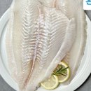 청정회바다나라 이미지