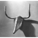 샘머리길 이미지