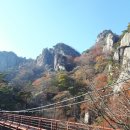 사진마당 이미지