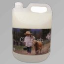 체리쉬퍼피 이미지