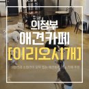 이리오시개 | [의정부 애견카페] 의정부 데이트 코스 추천 &#34;이리오시개&#34; 방문 후기!