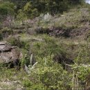 원산농장 이미지