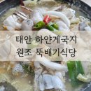 뚝배기식당 | 태안 게국지 원조 뚝배기 식당 재방문 후기