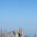 [울릉도 2일차 (3.1) 후기-전편] KBS중계소~성인봉~나리분지~천부~현포~태하(20km) 이미지