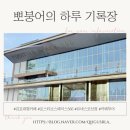 [내돈내산] 김포 대형카페 포스티브 스페이스566 방문 후기