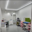 남양주 진접 애견 미용 추천 골든리트리버도 가능 몽그루밍
