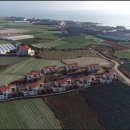 제주 모임하우스 이미지