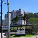 365굿닥터의원 이미지