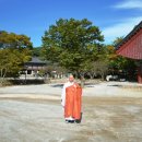 관심길-3 이미지