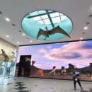 진주익룡발자국전시관 이미지