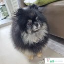 늘봄아로마테라피 이미지