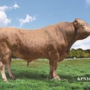 만금농장 이미지