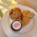 고릴라 멀티짐 이미지