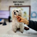 표선동물병원 이미지