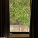 오랑주리스테이 이미지