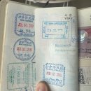 엔와이바이크스테이션 | 대만 여행 1일차(3): THSR타고 타이베이에서 타이난 가기, 션농지에, 샤오롱바오 맛집, 파인애플 석가