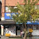 백양명품세탁소 이미지